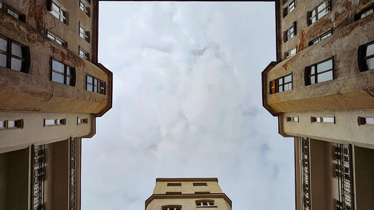 程巧欢头像