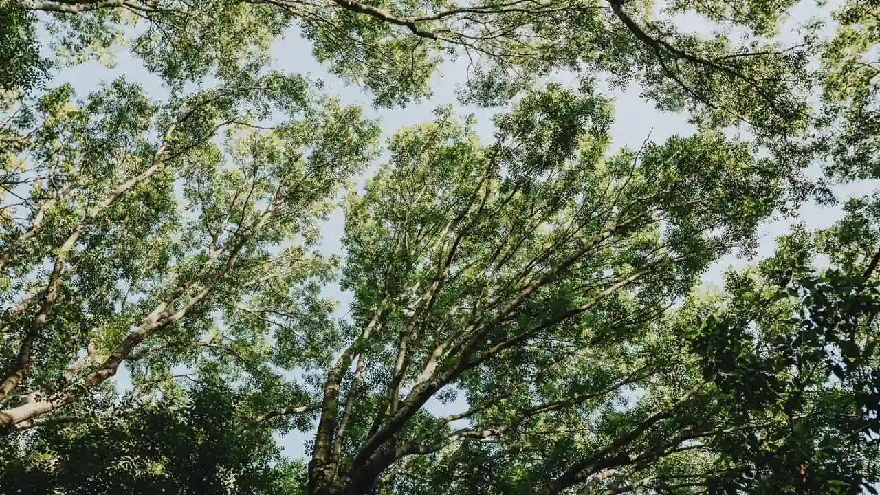 怎么找最近中文字幕MV在线视频WWW