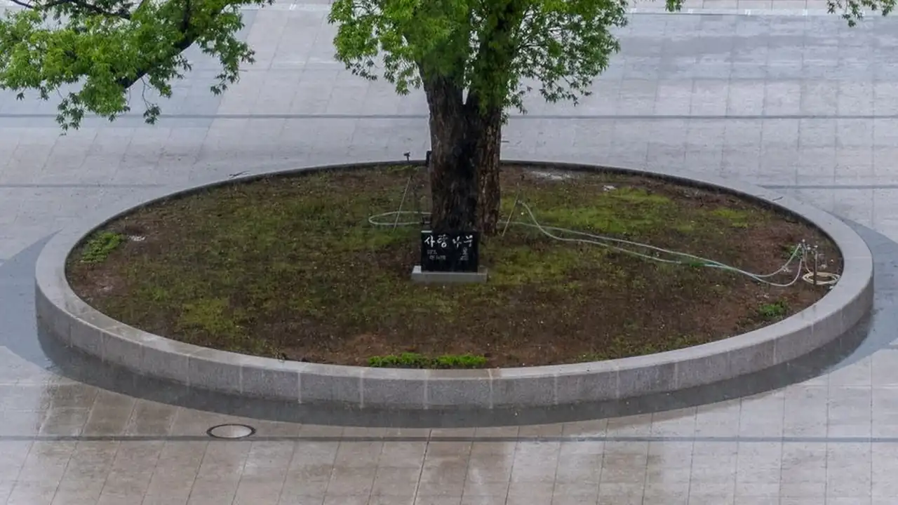 詹南勋头像