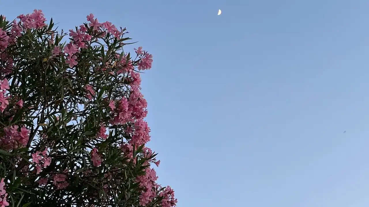 柳刚政头像