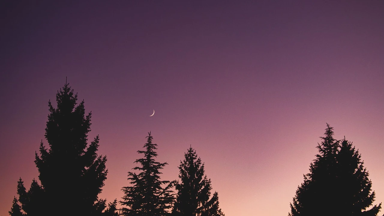 郑崇海头像