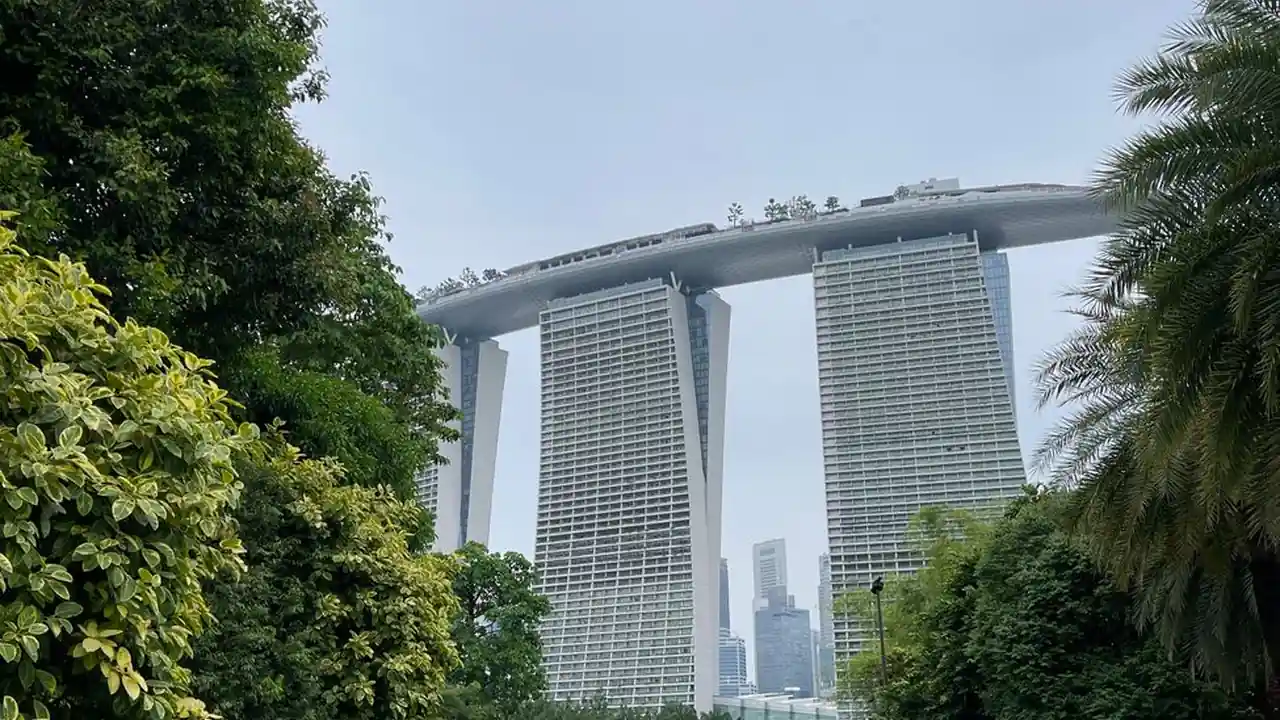 沈蜜桃拍过视频吗？查找方法与常见问题